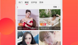 91直播正版,揭秘直播行业的品质之选